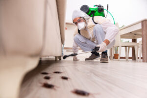 Best 3 London Pest Control Companies Reviews for 2024: Expert Insights and Top Picks Best 3 London Pest Control Companies Reviews for 2024: Expert Insights and Top Picks