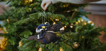 Give Granny a racehorse to cheer this Christmas: Racing Club’s syndicate 25/26 offers ownership from £25 Give Granny a racehorse to cheer this Christmas: Racing Club’s syndicate 25/26 offers ownership from £25