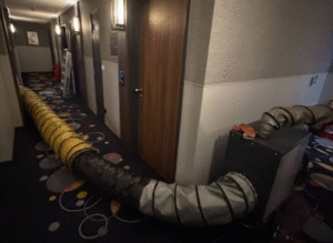 Bed Bug Management Costs Continue to Climb, Warns ThermoPest