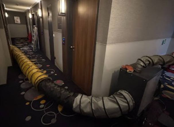 Bed Bug Management Costs Continue to Climb, Warns ThermoPest Bed Bug Management Costs Continue to Climb, Warns ThermoPest