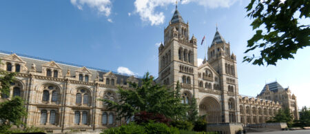 Natural History Museum London Review 2026: Is the UK’s Most Visited Attraction Really Worth the Hype? (It’s Free!)