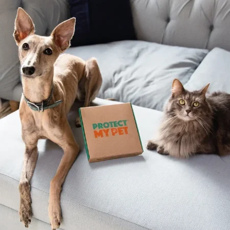 Protect My Pet Review 2026: Is Britain’s Original Flea & Worm Subscription Still Worth It?