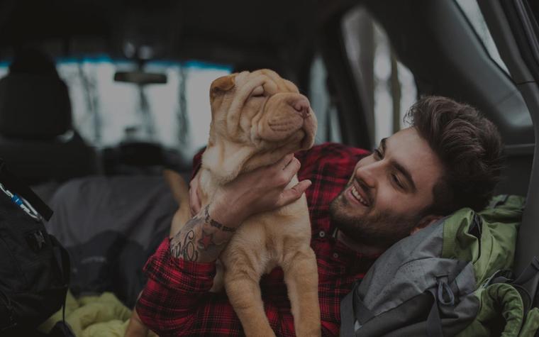 The Travelling Pet Review 2026: London’s Best Mobile AHC Vet, Worth £180?