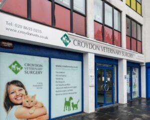 Vetscriptions Croydon Review 2026: The London Pet Pharmacy Saving Owners 40% on Vet Meds Vetscriptions Croydon Review 2026: The London Pet Pharmacy Saving Owners 40% on Vet Meds